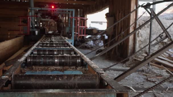 Tischler schneidet Stück Holz auf Industriesägen-Werkbank — Stockvideo