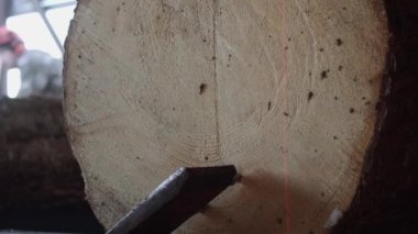 Ahşap günlük ahşap sanayi testere bankta demirli