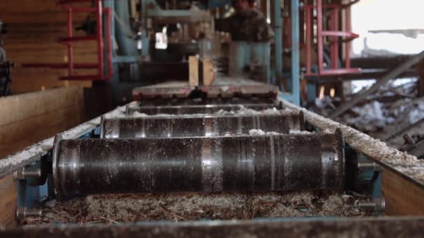 Schrijnwerker snijden stuk hout op industriële zag machine — Stockvideo