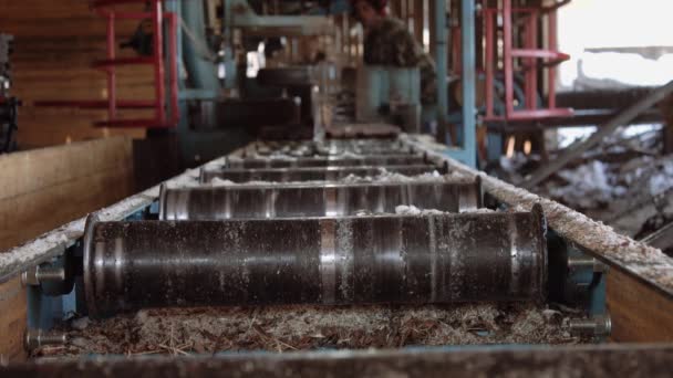 Timmerman snijden stuk hout op industriële zaag machine — Stockvideo