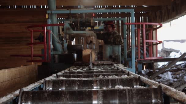 Woodworker skärande bit av timmer på industriella såg maskinen — Stockvideo
