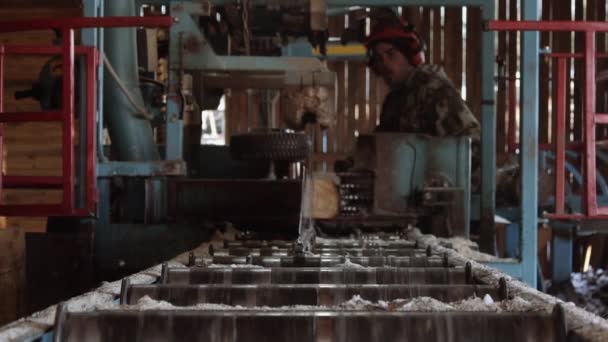 Holzarbeiter schneidet Stück Baumstamm auf Industriesägemaschine — Stockvideo