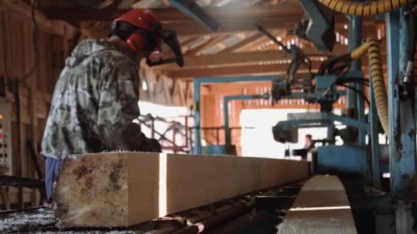 Woodworker em capacete martelando bloco de madeira na bancada de serra industrial — Vídeo de Stock