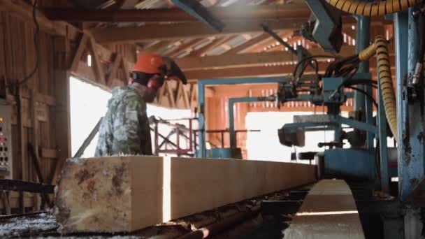 Carpenter in helmet hammering wood block on industrial saw workbench — Stock Video