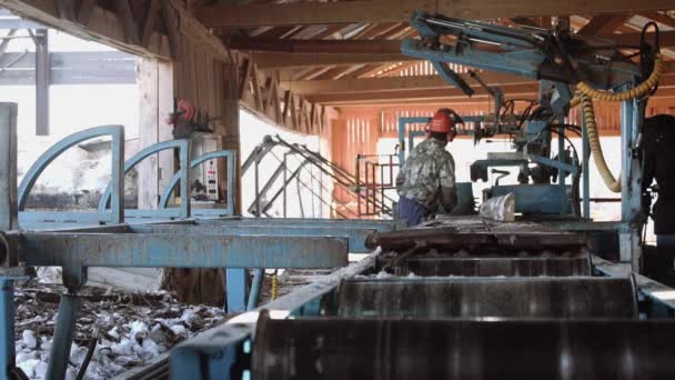 Falegname in casco taglio pezzo di legno su banco da lavoro sega industriale — Video Stock