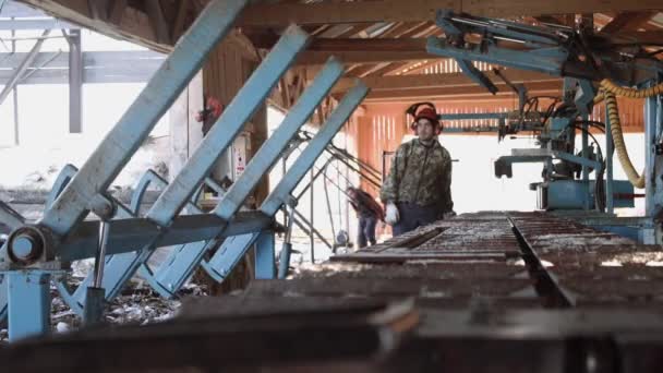 Holzarbeiter mit Helm bedient Industriesäge-Werkbank — Stockvideo