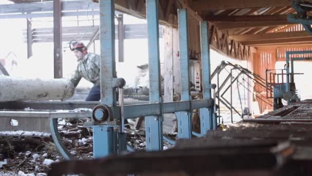 Плотник в шлеме разгружает деревянный блок на промышленном пильном станке — стоковое видео