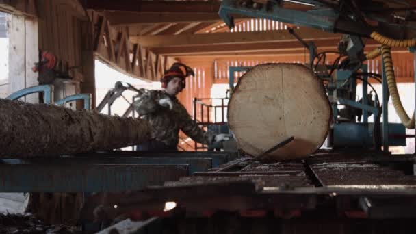 Carpenter in hard hat cutting wood log on industrial saw workbench — Stock Video