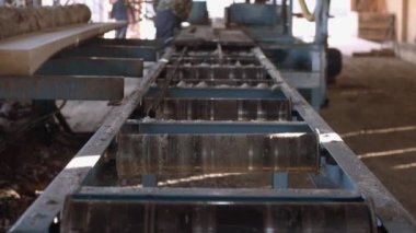 Kereste fabrikası, odun kesme, tezgah üzerinde çalışıyor bir marangoz