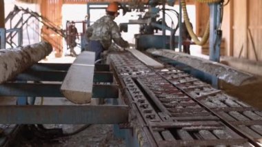 Ahşap kesme woodworker, kereste, tezgah üzerinde çalışıyor