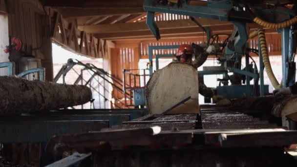 Timmerman in helm snijden hout log op industriële zag workbench — Stockvideo