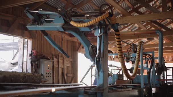 Плотник в шлеме резки бревен древесины на промышленном пильном станке — стоковое видео
