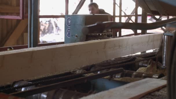 Деревообработчик работает на рабочем месте на лесопилке, рубит древесину — стоковое видео