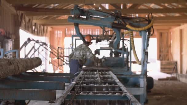 Schrijnwerker werkt op de werkbank in de zagerij, snijden van hout — Stockvideo