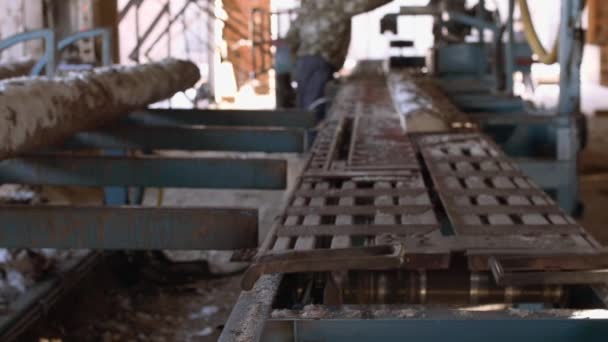 Schrijnwerker opereert op werkbank op hout-molen, snijden hout — Stockvideo