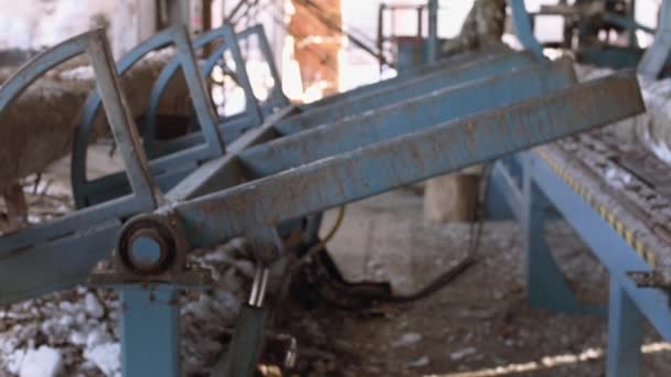 Charpentier charge billes de bois sur établi à la scierie — Video