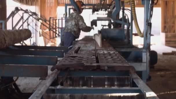 Woodworker operates on industrial saw at sawmill, cutting wood — Stock Video