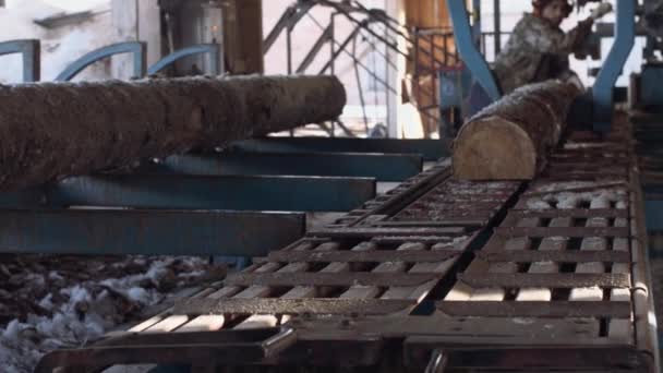 Travailleur du bois opère sur scie industrielle à la scierie, coupe du bois 