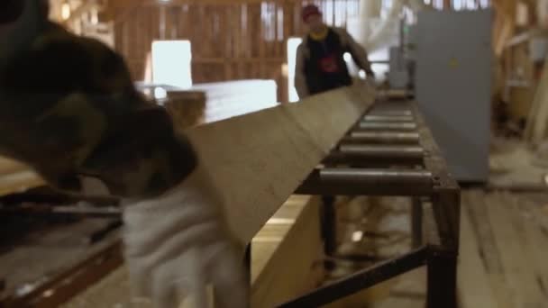 Carpenters puts lumber plank on refiner machine at lumber-mill — Stock Video