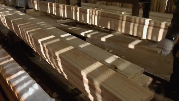 Tischler legt Holzplanke auf Tischler-Maschine in Holzmühle — Stockvideo