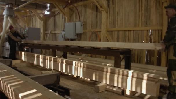 Los trabajadores de la madera ponen tableros de madera en la máquina de unión en el aserradero — Vídeos de Stock