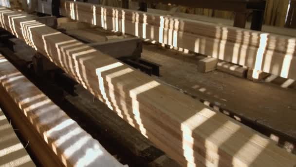 Tesaři staví dřevěné desky na tesařských stroj na dřevo mlýn — Stock video