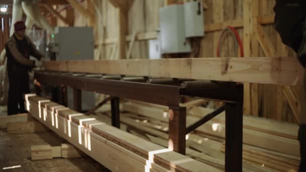 Деревообробники кладуть дерев'яну дошку на верстат на лісопилку — стокове відео