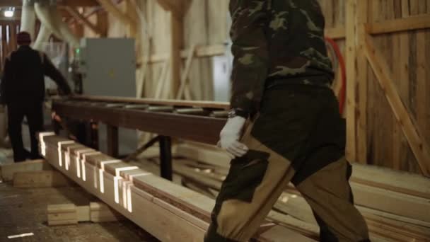 Tischler legt Holzplanke auf Veredelungsmaschine im Sägewerk — Stockvideo