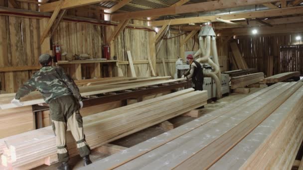 Los trabajadores llevan tablas de madera las ponen en pilas en el aserradero — Vídeo de stock