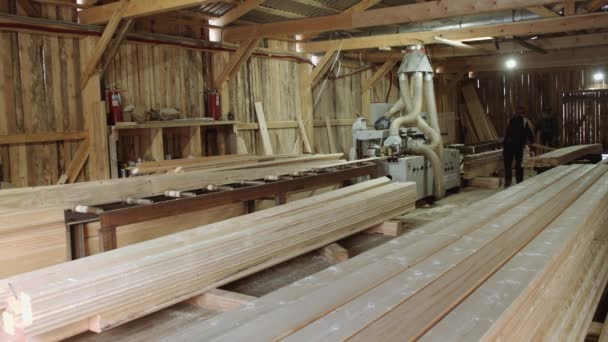 Εργαζόμενοι μεταφέρουν ξύλινες σανίδες τοποθετεί σε στοίβα στο πριονιστήριο — Αρχείο Βίντεο