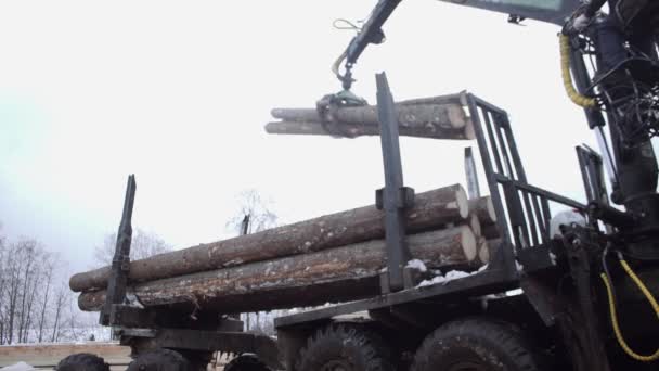 Тяжелый ручной погрузчик выгружает древесину из тяжелого грузовика на лесопилке — стоковое видео