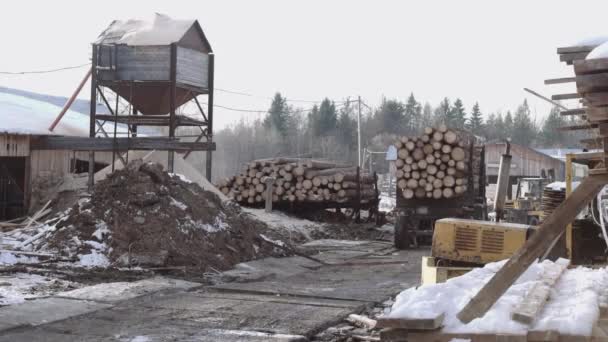 Автомобіль Лоррі їде по брудній дорозі на подвір'ї лісопильного заводу — стокове відео