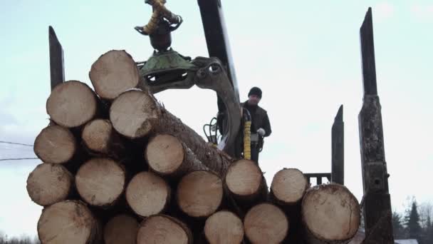 Crane arm loader unloads wood logs from heavy truck at sawmill factory — Stock Video