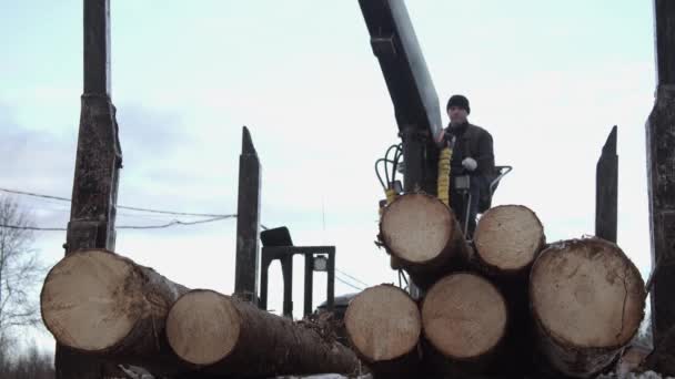 Carregador de braço de caminhão descarrega toras de madeira de caminhão pesado na fábrica de serraria — Vídeo de Stock