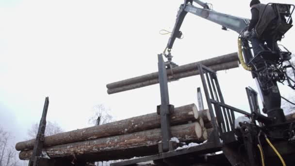 Механический ручной погрузчик выгружает древесину из тяжелого грузовика на лесопилке — стоковое видео