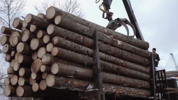 Γερανός βραχίονα φορτωτή ξεφορτώνει ξύλινα κούτσουρα από βαρύ φορτηγό σε πριονιστήριο παραγωγικός — Αρχείο Βίντεο