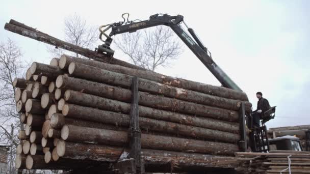 Βαρύ βραχίονα φορτωτή ξεφορτώνει ξύλινα κούτσουρα από βαρύ φορτηγό σε πριονιστήριο παραγωγικός — Αρχείο Βίντεο