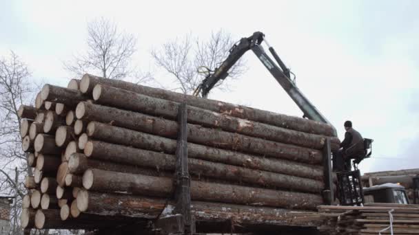 Ручний навантажувач вивантажує дерев'яні колоди з важкої вантажівки на виробництві лісопильних заводів — стокове відео