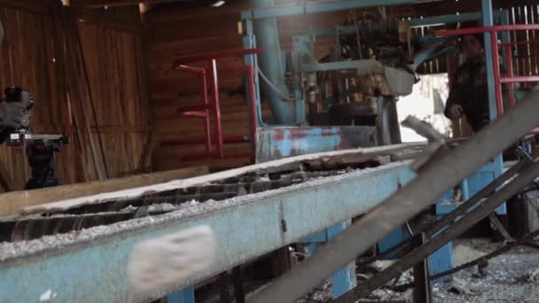 Tezgah woodworker dilimleri parça ahşap sanayi üzerinde gördüm — Stok video