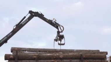 Vinç pençe yükleyici kereste fabrikasında ağır kamyon ahşap günlükleri kaldırır