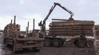 Ağır pençe yükleyici kereste fabrikasında ağır kamyon ahşap günlükleri kaldırır