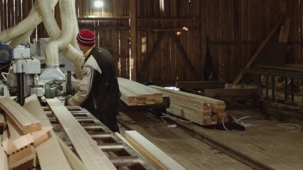 Schrijnwerkers voeren hout planken zet het in stapels op de zagerij — Stockvideo