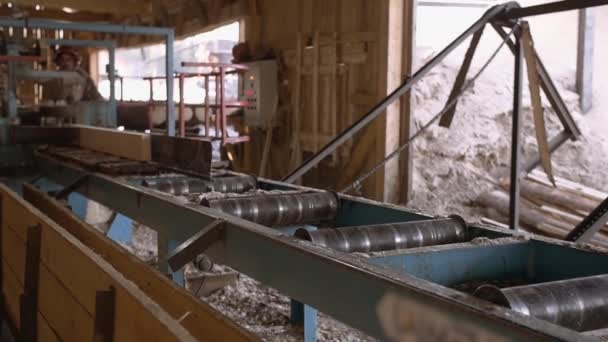 Timmerman splitst houten blok op industriële zag werkbank — Stockvideo
