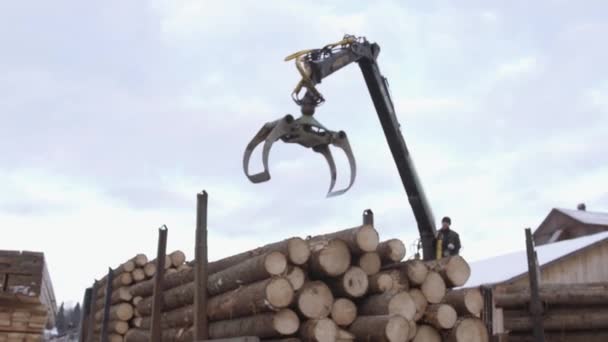 Mechanical arm loader unloads timber logs from heavy truck at sawmill facility — Stock Video