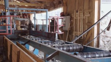 Woodworker ağaç günlük endüstriyel testere tezgah üzerinde böler