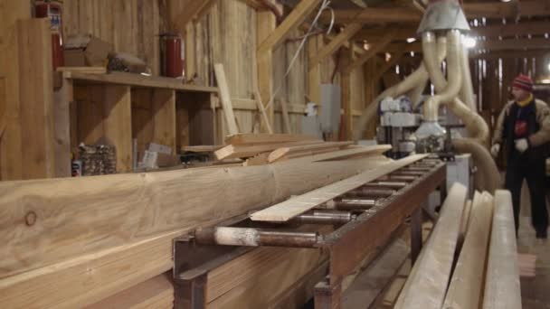 Joiners carry timber planks puts it in piles at sawmill — Stock Video