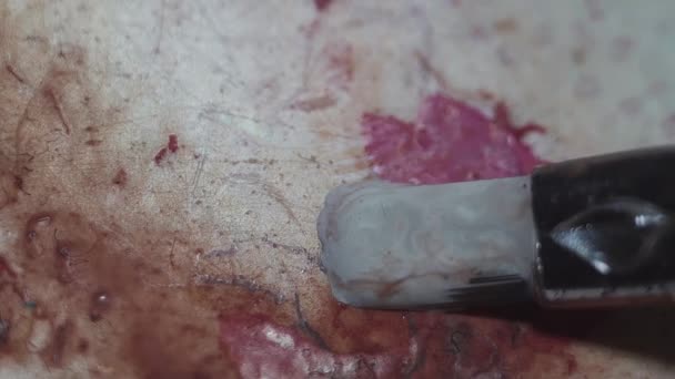 Pensula miroase vopsea de culoare gri neutru pe paleta de plastic alb — Videoclip de stoc