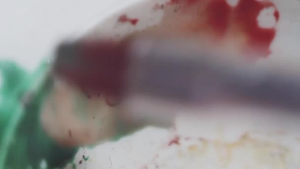 Acquerello miscelazione pennello verde e rosso su plastica bianca tavolozza sporca — Video Stock