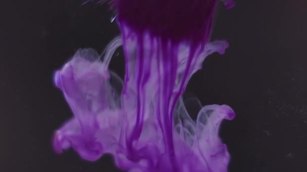 Beautiful purple color paint cloudd floating of brush in water — Stock Video