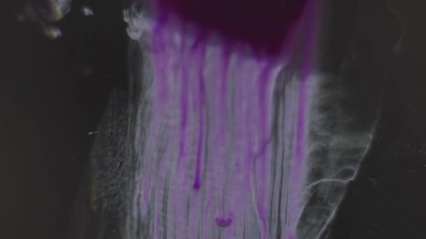 Beautiful purple color paint shape floating of brush in water — Stock Video